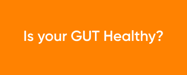 Gut Health Article.jpg